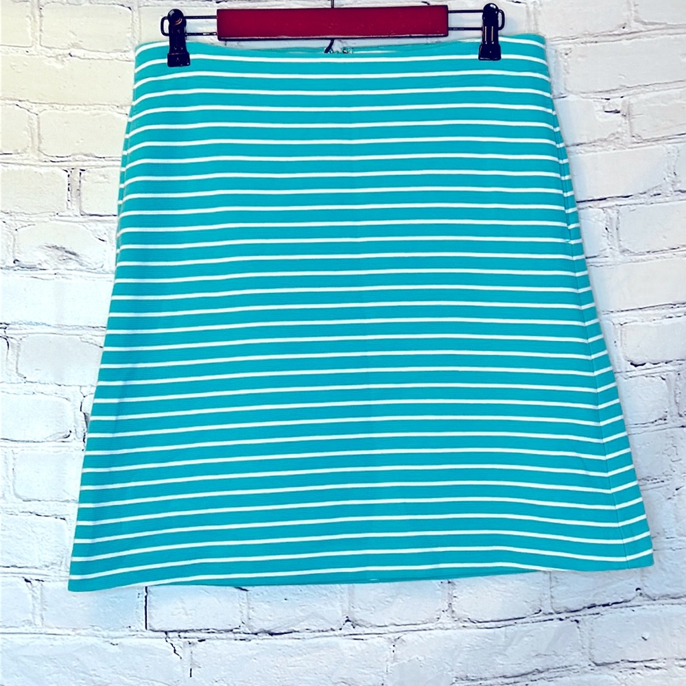 Talbots Aqua Blue White Striped Skirt Size 4 Excellent Condition